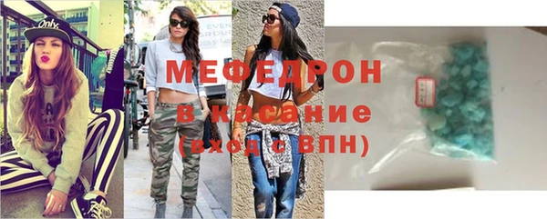 индика Медвежьегорск