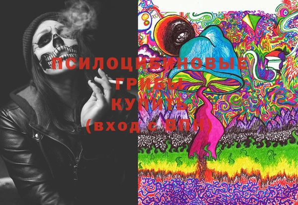индика Медвежьегорск