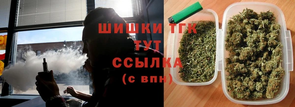 индика Медвежьегорск
