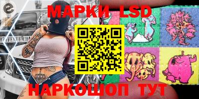 a pvp Заводоуковск