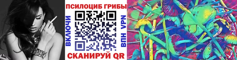 где купить наркоту  Медногорск  Псилоцибиновые грибы Cubensis 
